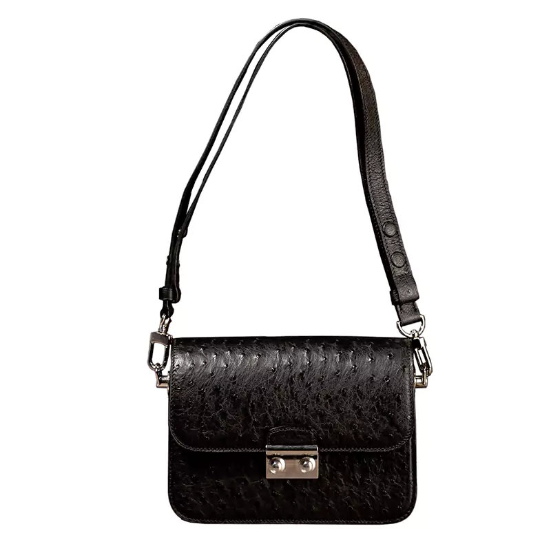 Struthiocamelus Leather Box Bag